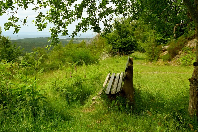 同时也难以 同时也难以