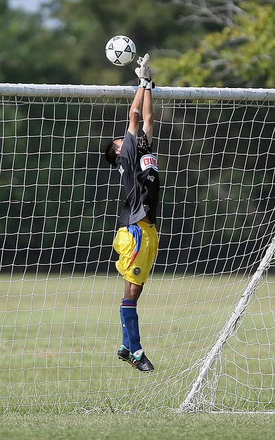 王牌投手的 王牌投手的