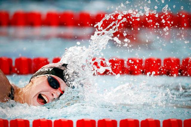 团队协作的 团队协作的