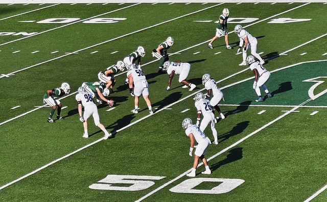 经验丰富的 经验丰富的